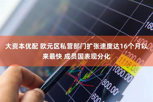 大资本优配 欧元区私营部门扩张速度达16个月以来最快 成员国表现分化