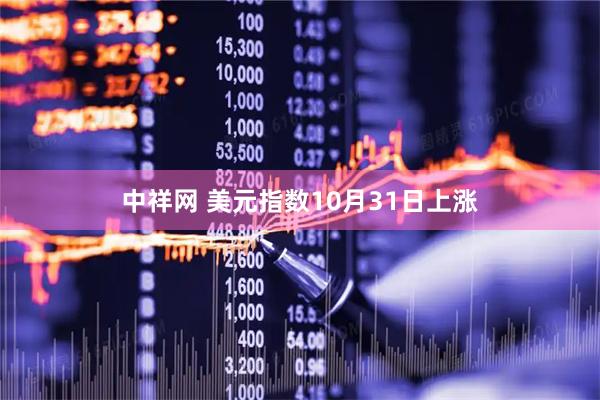 中祥网 美元指数10月31日上涨