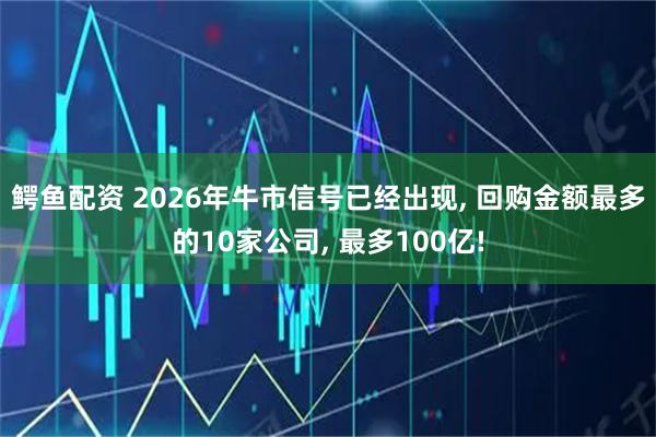 鳄鱼配资 2026年牛市信号已经出现, 回购金额最多的10家公司, 最多100亿!