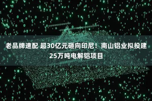 老品牌速配 超30亿元砸向印尼！南山铝业拟投建25万吨电解铝项目