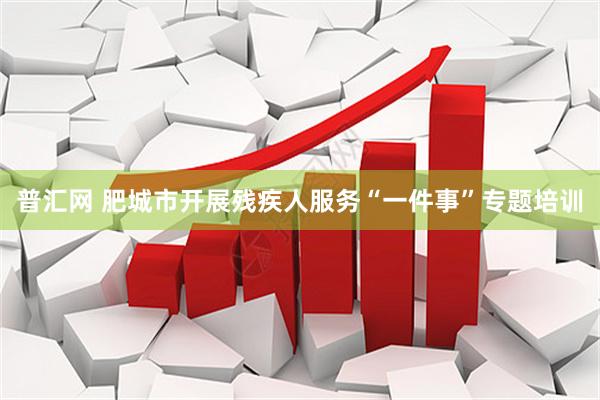 普汇网 肥城市开展残疾人服务“一件事”专题培训