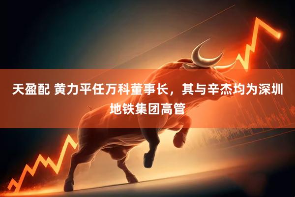 天盈配 黄力平任万科董事长，其与辛杰均为深圳地铁集团高管